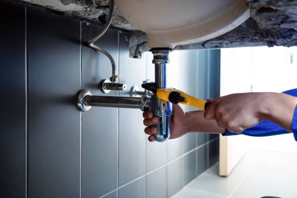 Best 24/7 Emergency Plumbing Services  in Lacoochee, FL